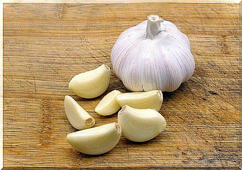 Garlic