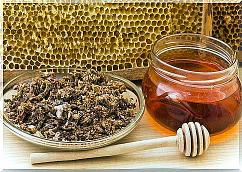 Honey and propolis