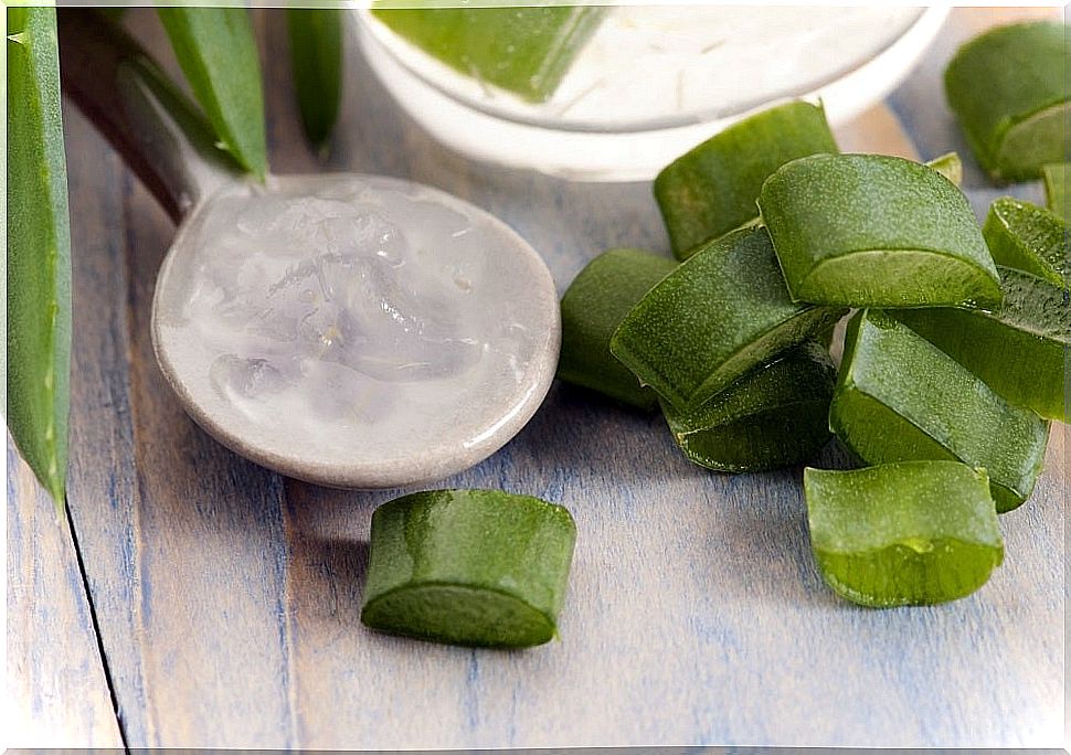 Aloe cream for dry and cracked heels