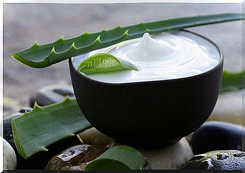 Aloe cream