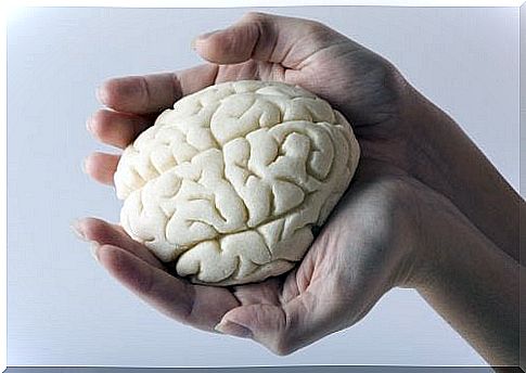 Brain in hands