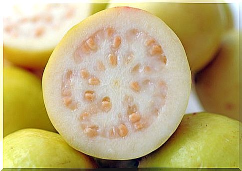 Guava