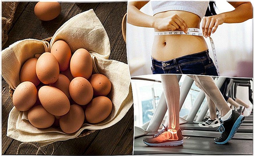 7 reasons why you should add eggs to your diet