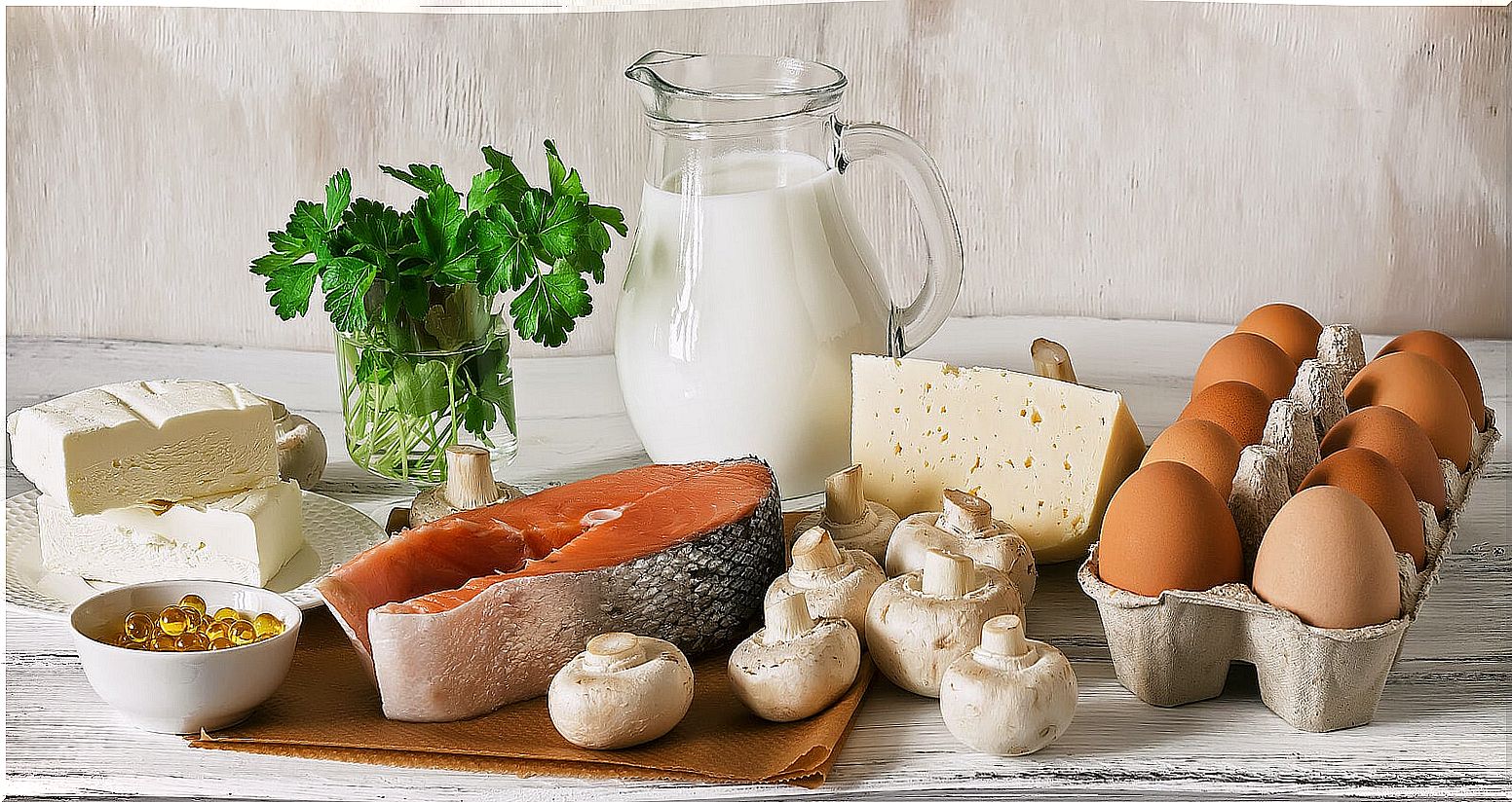 Foods with calcium and vitamin D to take care of your bone health