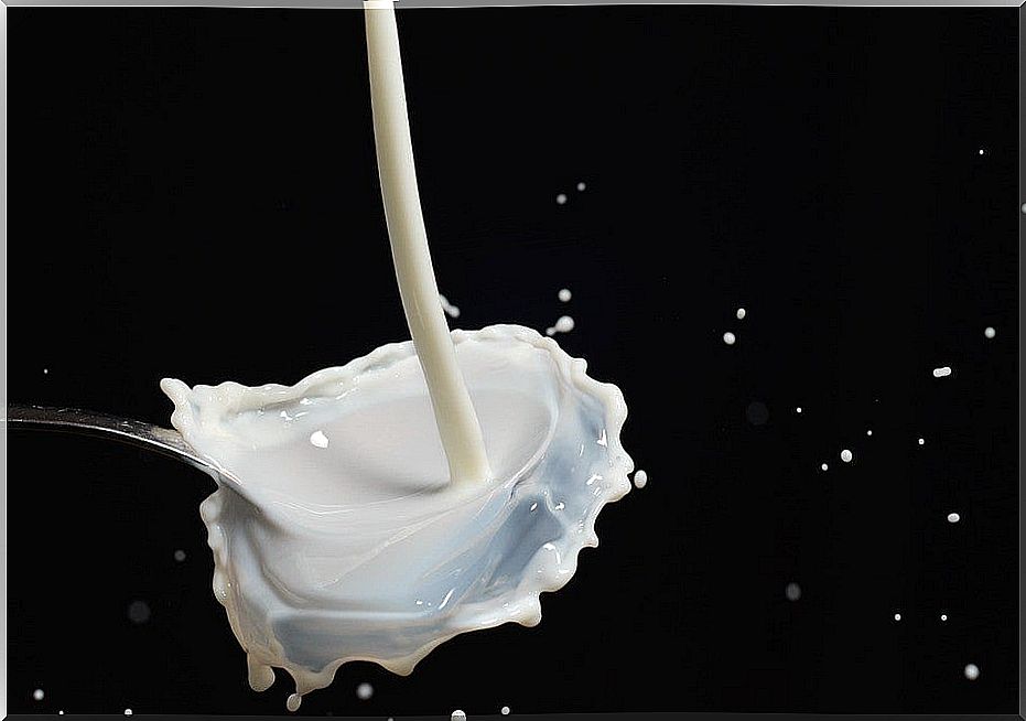 Splash of milk on white background