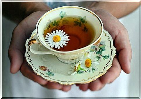 Chamomile: benefits of consuming it