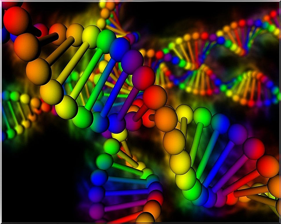 Nucleic acids