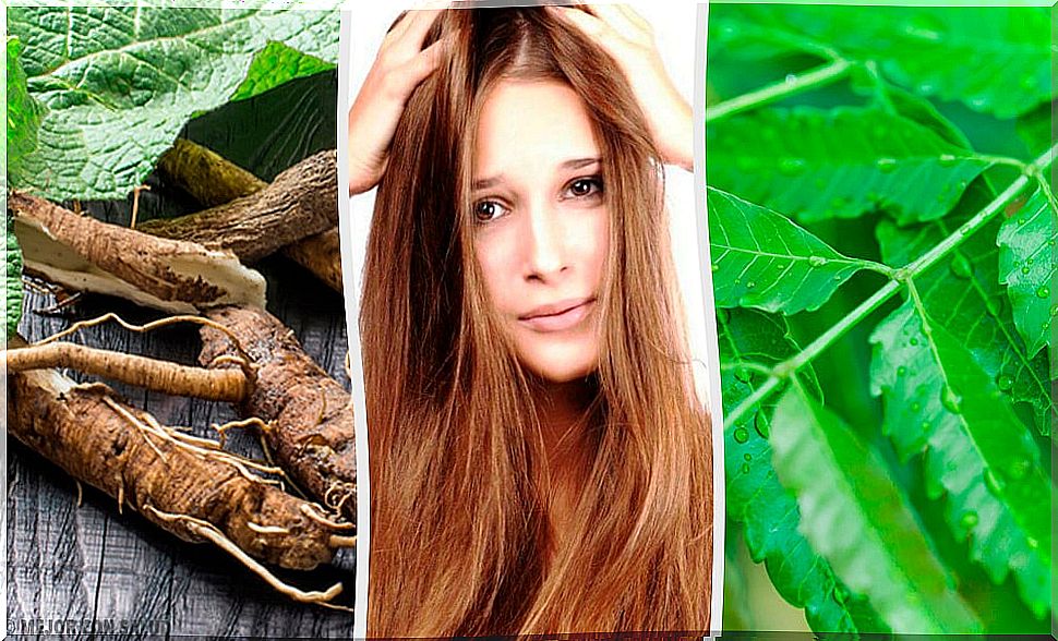 Eliminate dandruff by preparing 5 herbal solutions