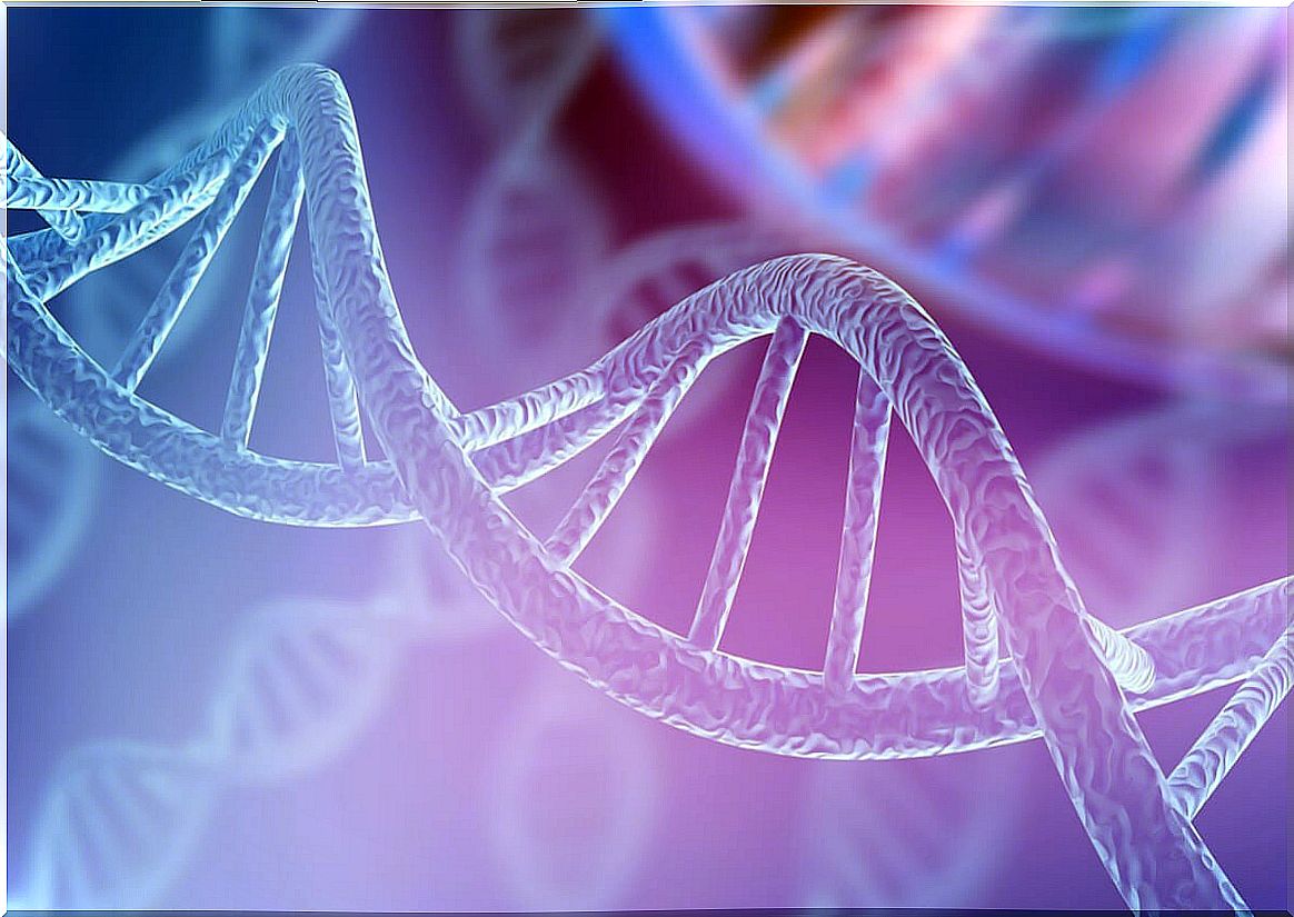 DNA in genetic diseases.