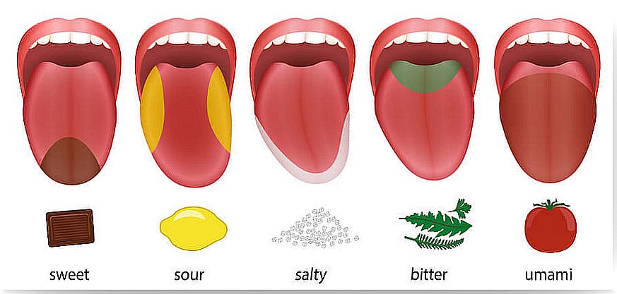 The flavors on the tongue