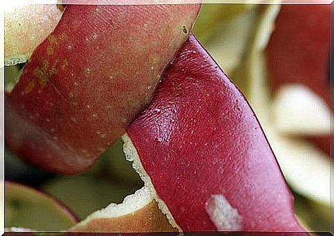 Apple peel helps you lose weight