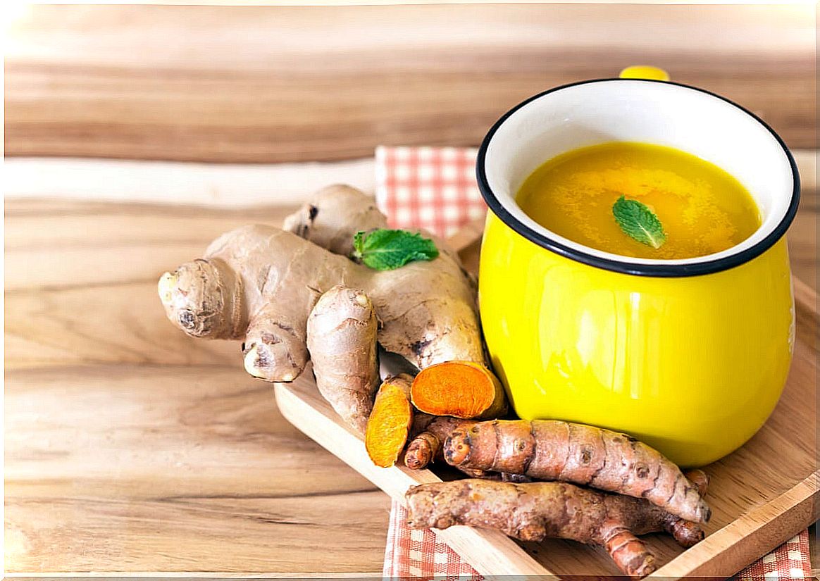 Infusion of ginger with lemon: properties and benefits