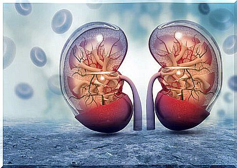 covid-19 in kidneys