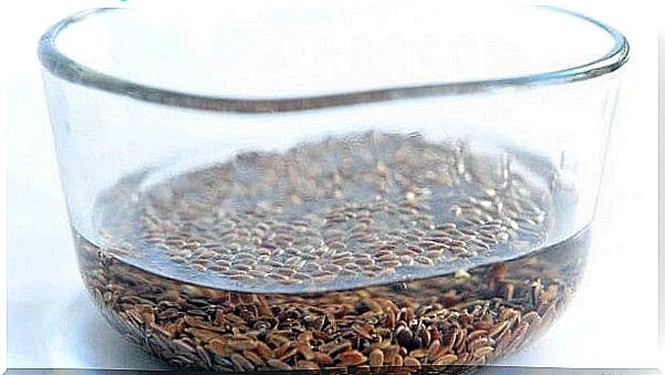 Flaxseed water glass