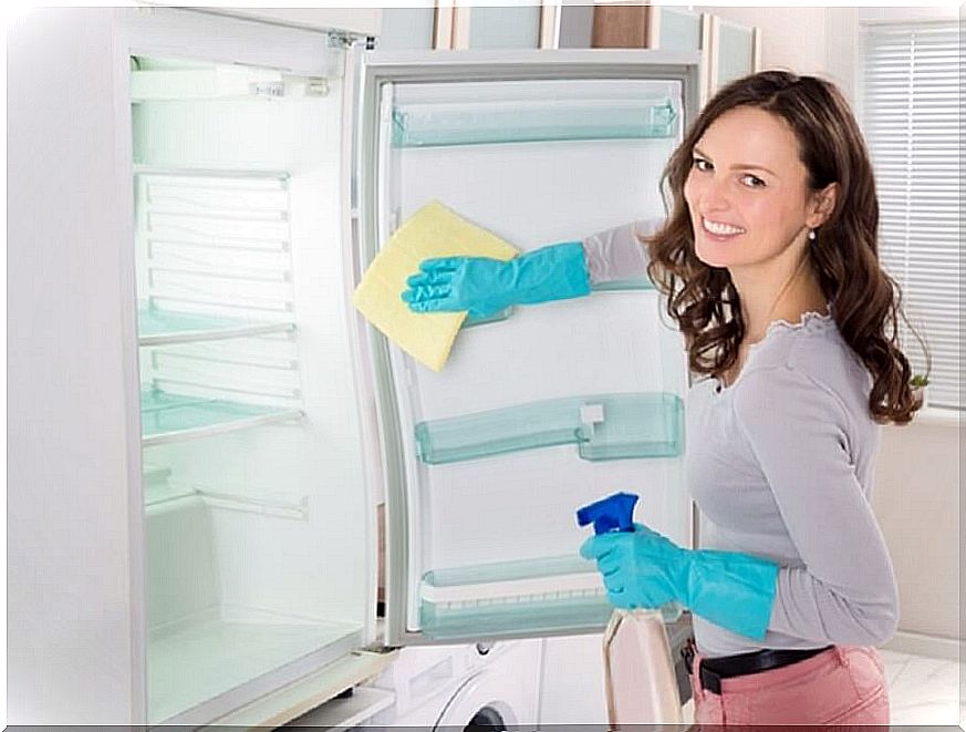 Cleaning the fridge with natural products