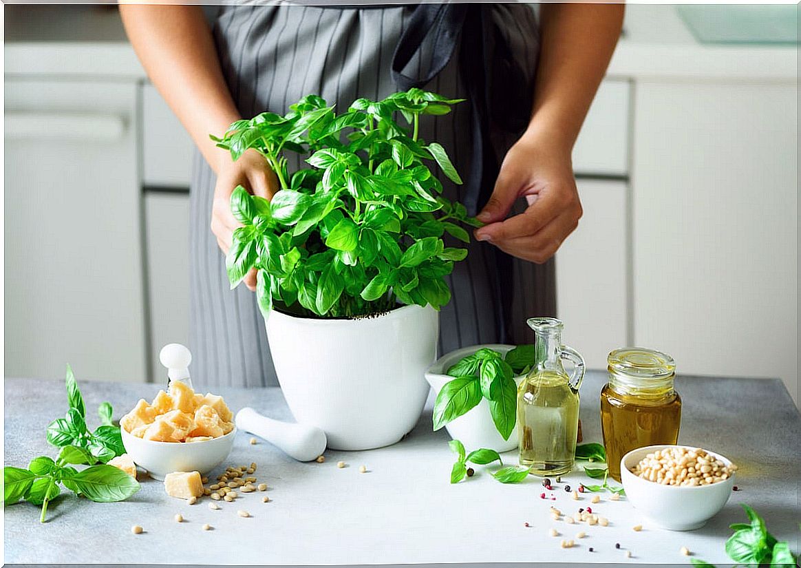 Use of the types of basil in the kitchen.