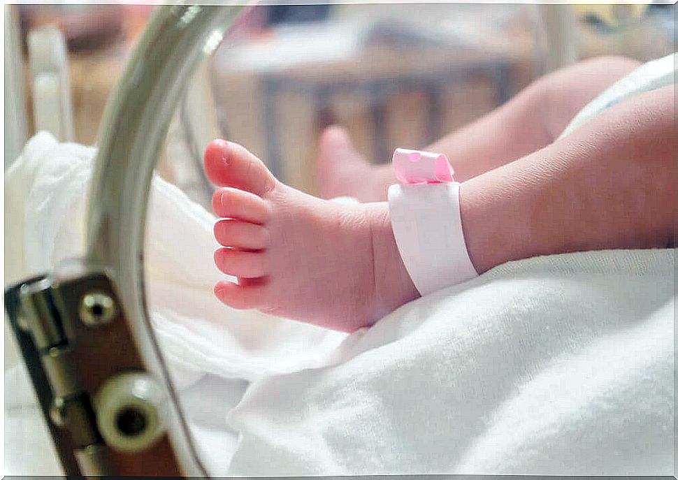 Feet of a premature child