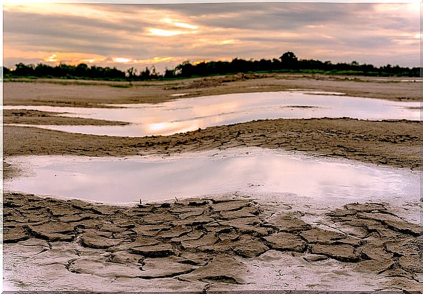 Climate change as a health problem